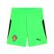 2025-2026 Portugal Home Goalkeeper Shorts (Green)