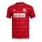 Energie Cottbus 2019-20 Home Shirt (M) (Mint) (Mint)
