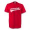 Steven Gerrard Liverpool Signature Tee (red) - Kids