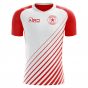 Red Star Belgrade 2018-2019 Home Concept Shirt