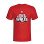 Wales Country Logo T-shirt (red) - Kids
