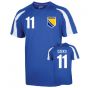 Bosnia Sports Training Jersey (dzeko 11) - Kids