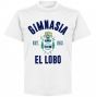 Gimnasia Established T-Shirt - White