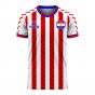 Paraguay 2020-2021 Home Concept Football Kit (Viper)