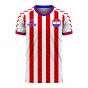 Paraguay 2020-2021 Home Concept Football Kit (Viper)