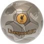 Liverpool FC Camo Sig Football