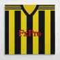 Watford 2018-19 Football Canvas Print