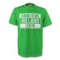 Robbie Keane Ireland Legend Tee (green) - Kids