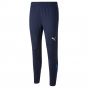 2022-2023 Italy Training Pants (Peacot)