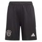 2023-2024 Bayern Munich Goalkeeper Shorts (Black) - Kids