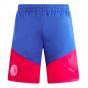 2023-2024 AC Milan Training Shorts (Royal Sapphire)
