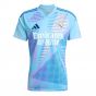 2024-2025 Real Madrid Home Goalkeeper Shirt (Blue)