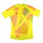 2024-2025 Scotland Home Goalkeeper Shirt (Yellow)