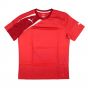 Puma Training Tee (Red)