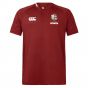 2025 British & Irish Lions Poly Polo Shirt (Red)