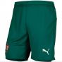 2025-2026 Portugal Home Shorts (Green)