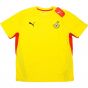 2008-09 Ghana Puma Training Shirt (Yellow)
